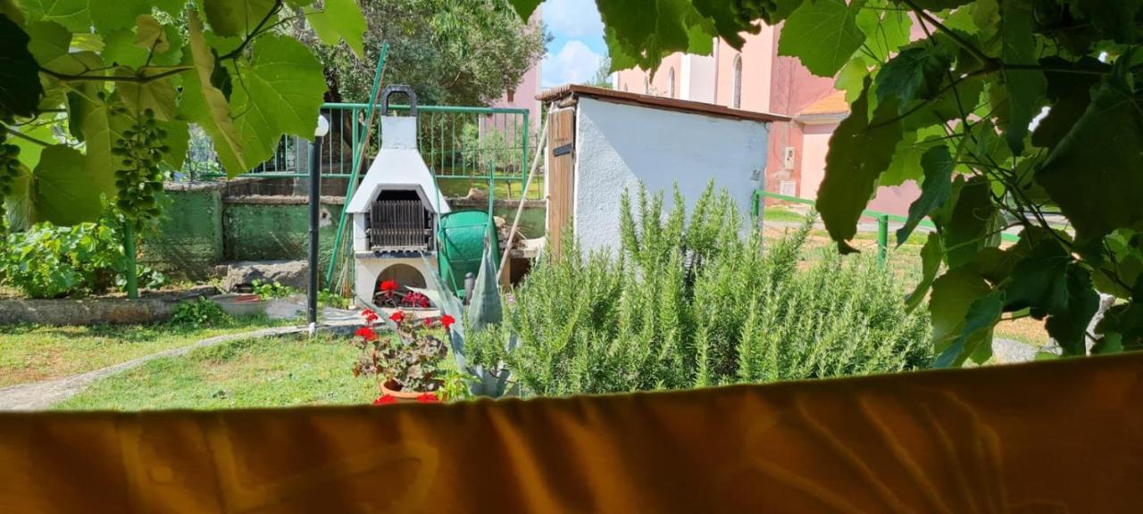 Apartment Centar Paklenica *