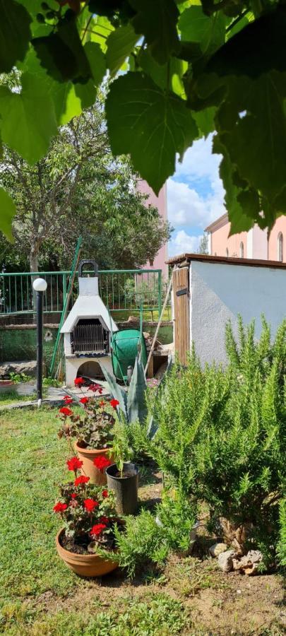 Apartment Centar Paklenica *